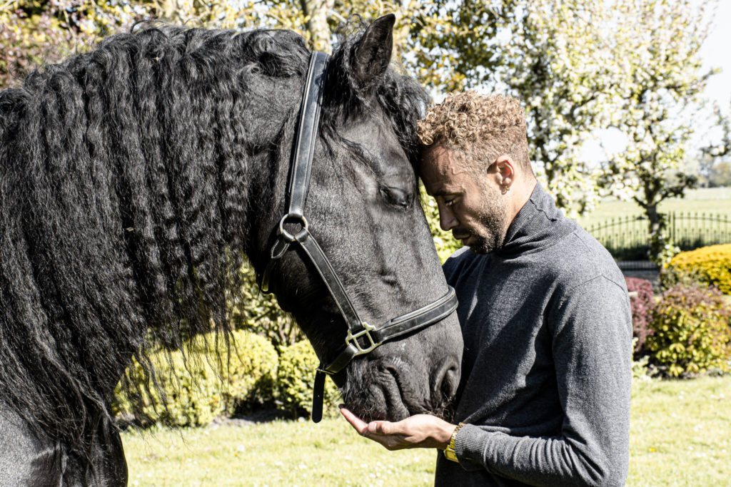 Avalon One on One Horse Medicine Sessions